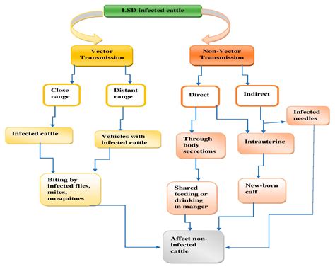 lv lsd|diagnosis of lumpy skin disease.